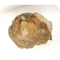 【黃水晶~珊瑚原石】千萬年約重達16斤，財位、升….