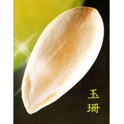 【玉珊2號】阿露斯系列-綠肉，日本高級洋香瓜品種，直立式栽培-1株1果